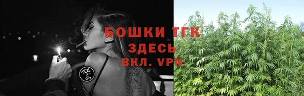 2c-b Белокуриха