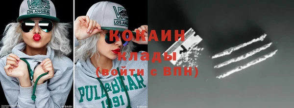 шишки Беломорск