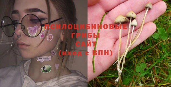 первитин Балахна